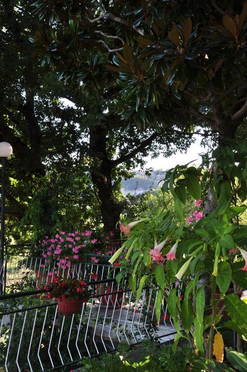 Hotel Firenze Chianciano Terme Room photo