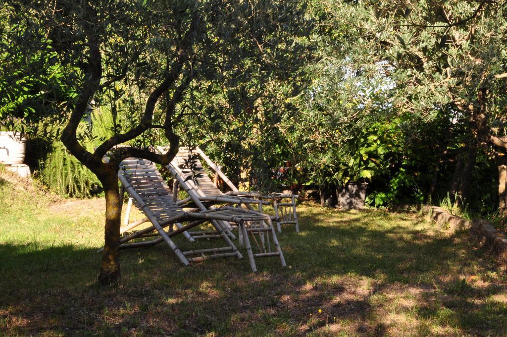 Hotel Firenze Chianciano Terme Exterior photo
